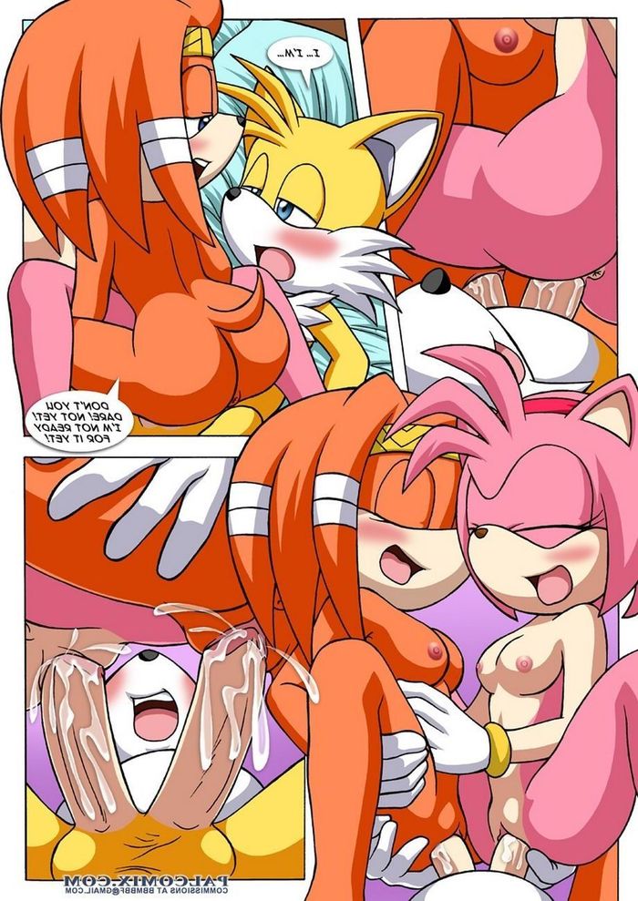 Sonic Xxx Porn - Sonic Project XXX 3 | Porn Comics
