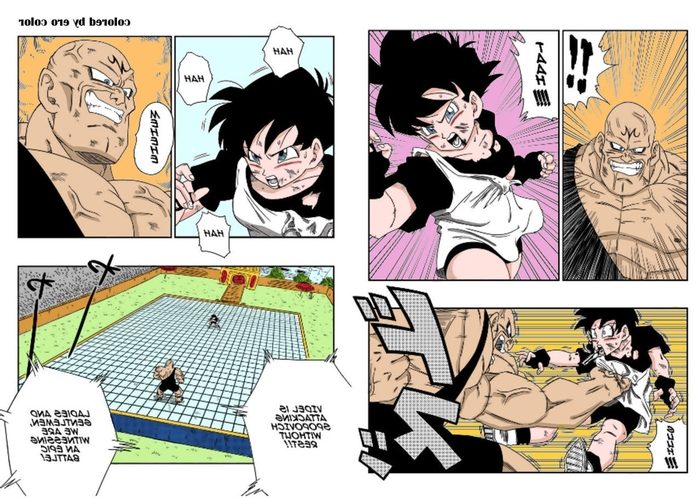 Videl Dragon Ball Z Cartoon Porn - Dagonball Videl vs Spopovich â€“ Dragon Ball Z | Porn Comics