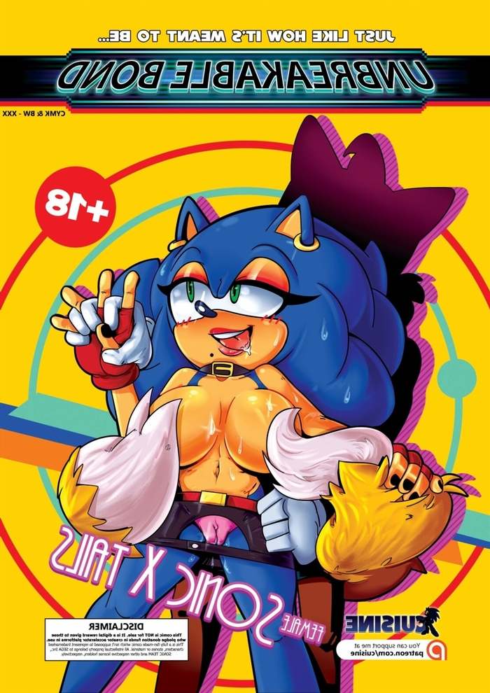 Sonic Porn Comics - Cuisine] Unbreakable Bond (Sonic the Hedgehog) | Porn Comics